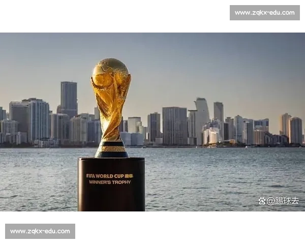 球迷的热爱，2026世界杯的动人时刻！