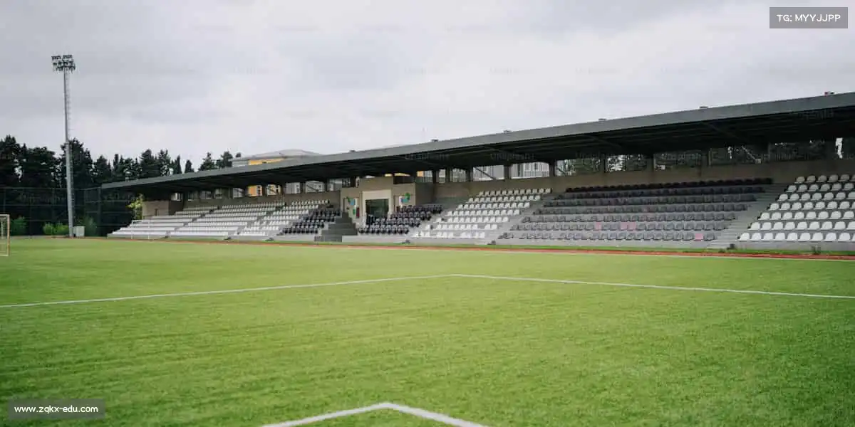 为什么选择我们